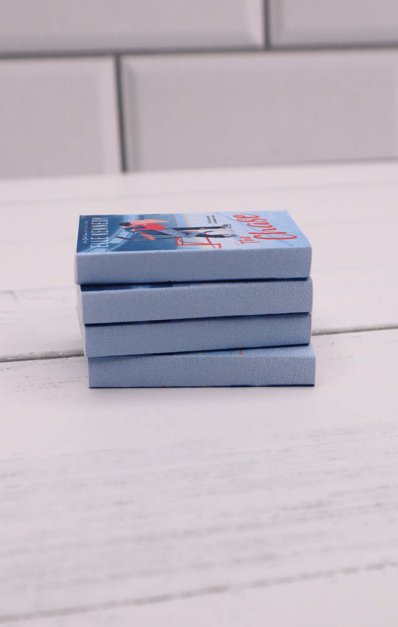 Mini Books - Briar U
