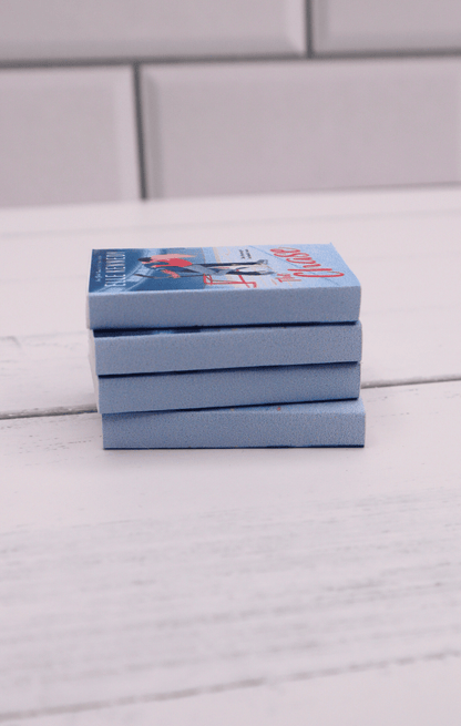 Mini Books - Briar U