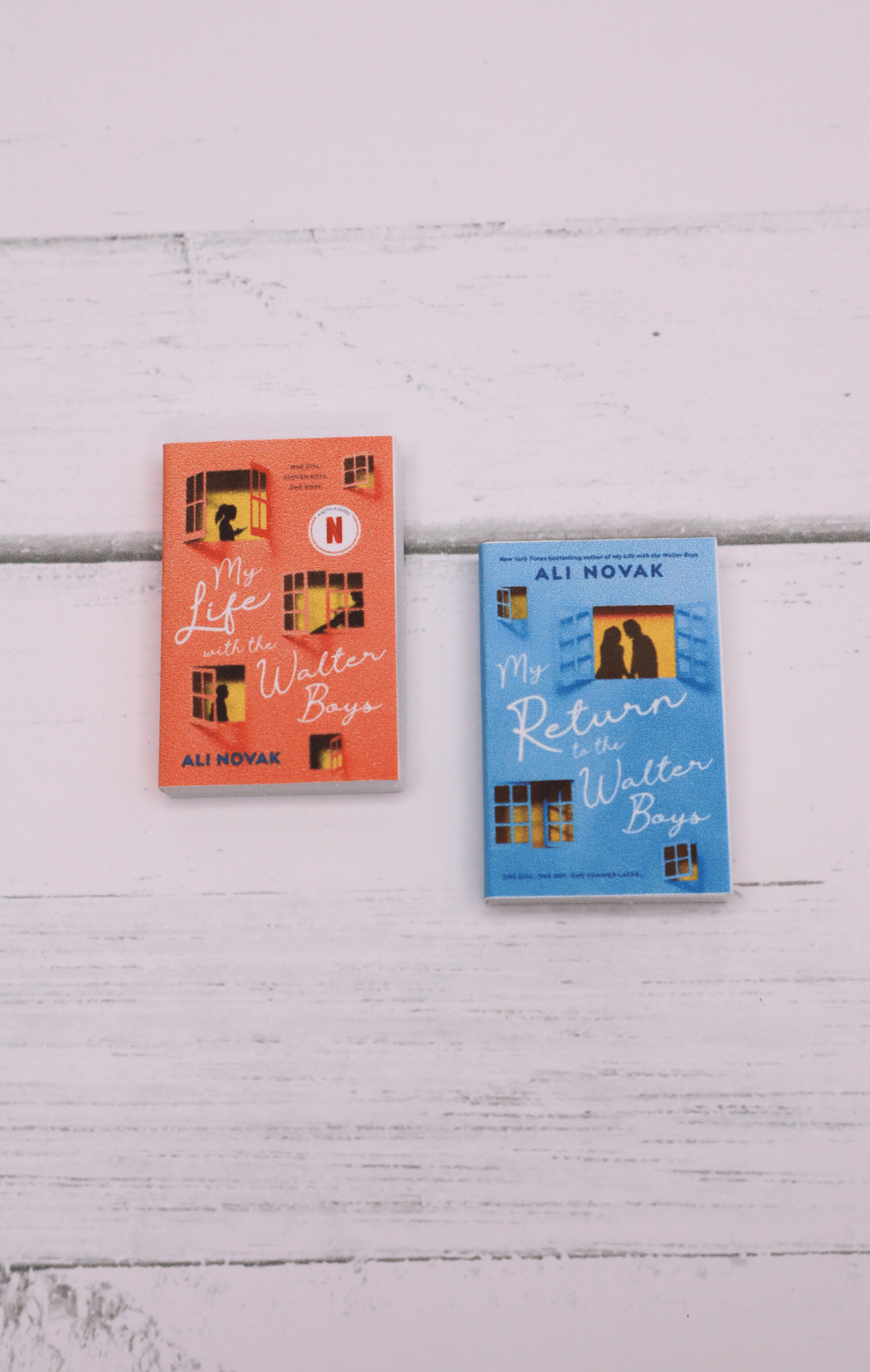 Mini Books - My life with the Walter boys