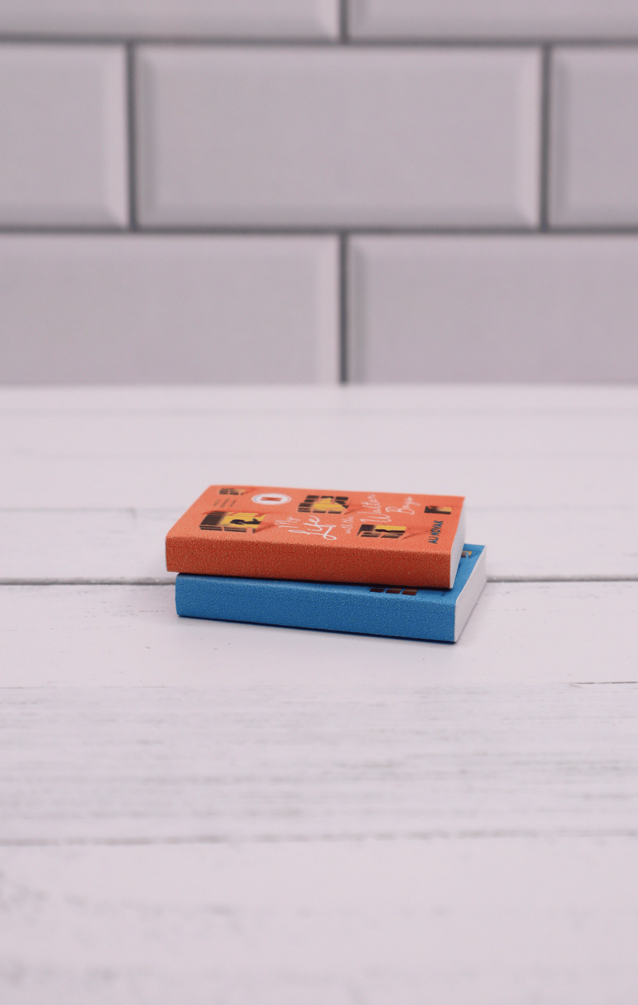 Mini Books - My life with the Walter boys