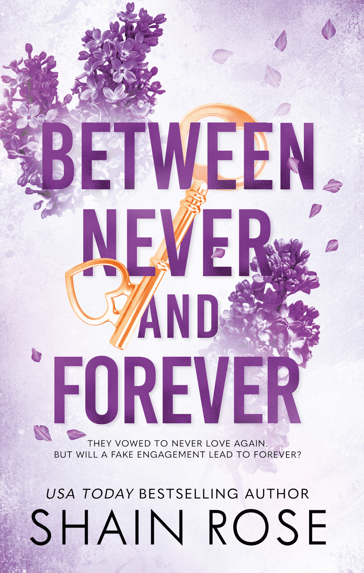 Between Never and Forever <br/> (Hardy Billionaire Brothers #3)